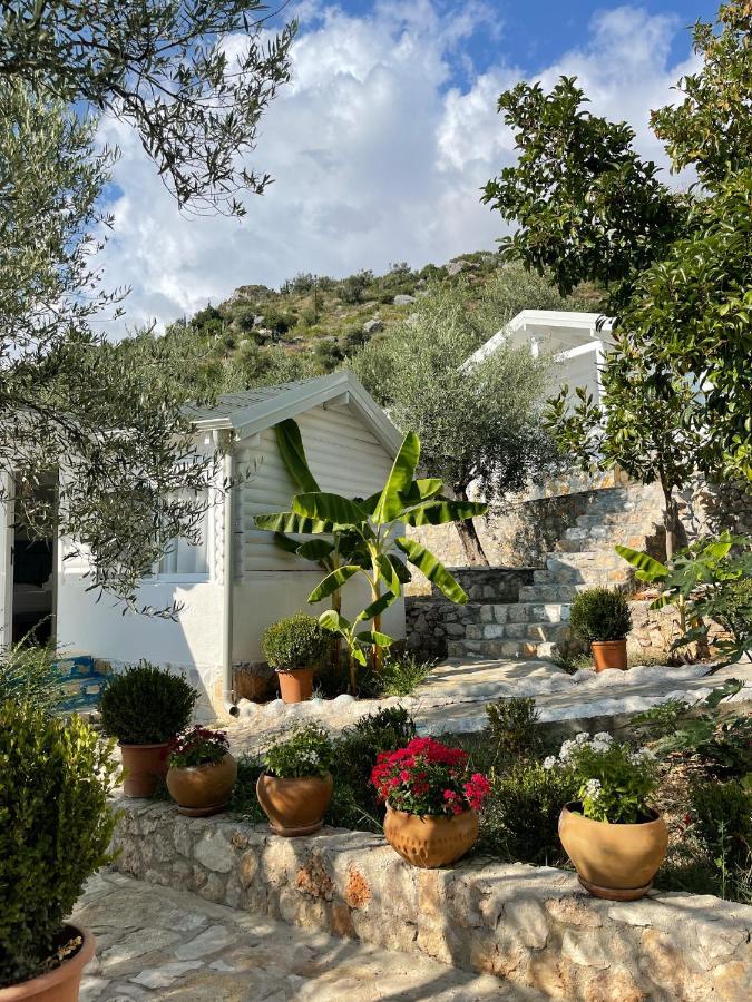 Alevra Hotel Dhermi Exterior photo