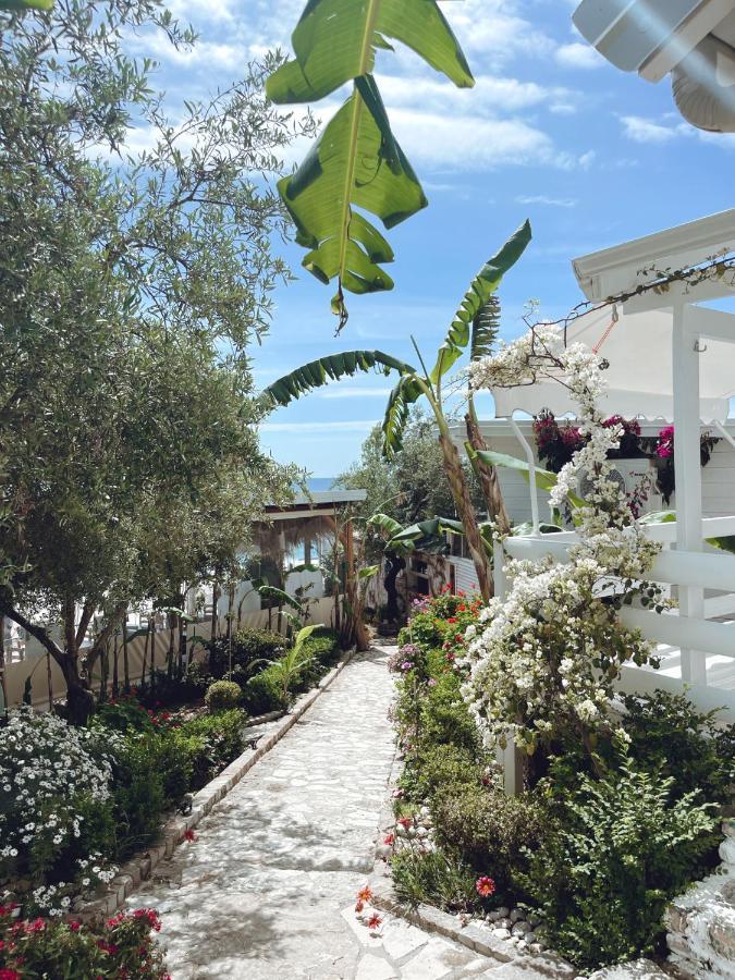 Alevra Hotel Dhermi Exterior photo