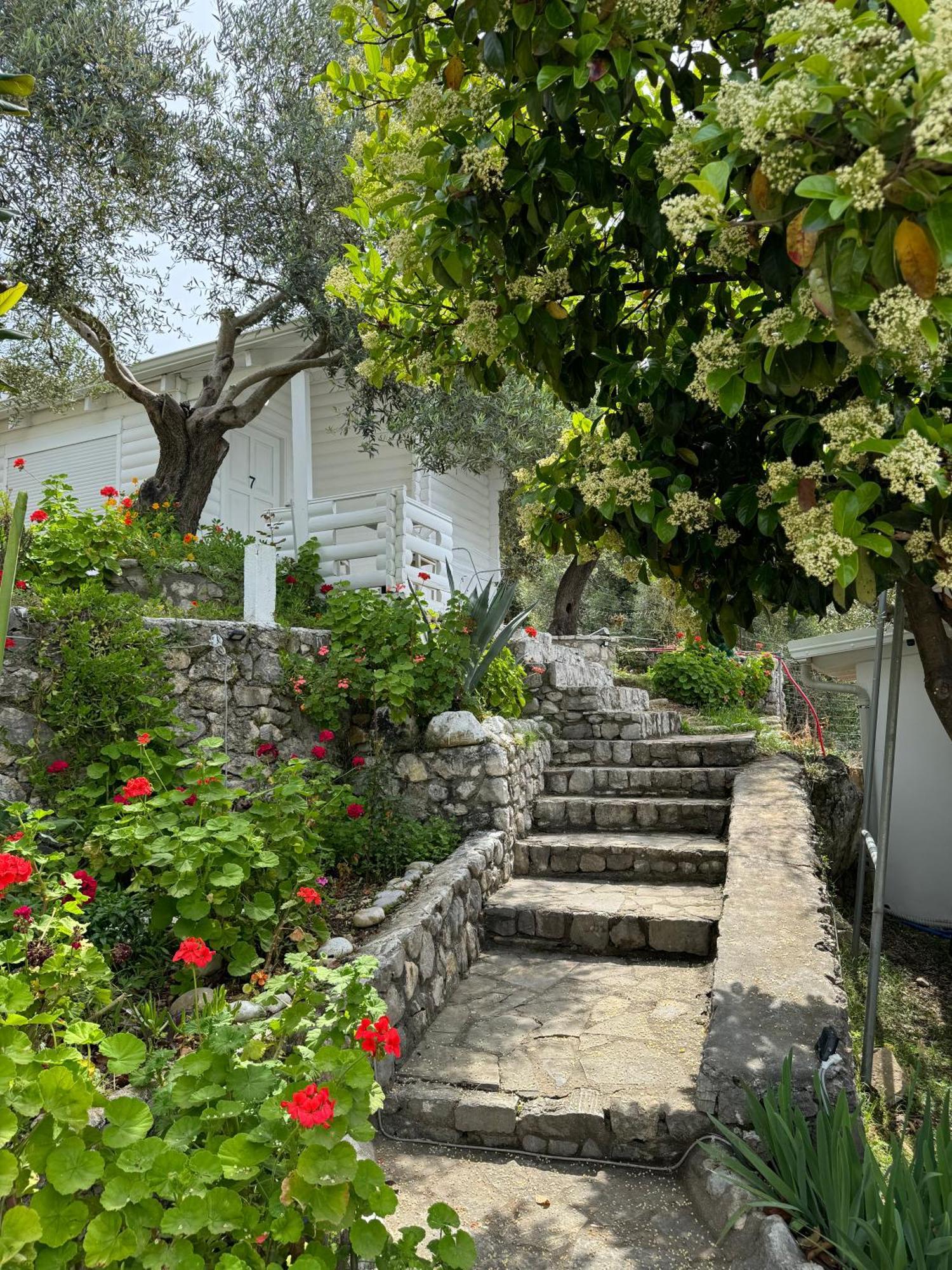 Alevra Hotel Dhermi Exterior photo